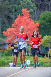 BIB: 8092, 8087
                            <button type="button" onclick="openModal(19239825)" class="btn btn-primary btn-sm float-right btn-popup" data-toggle="modal" data-target=".modal-high-quality">
                        <i class="fas fa-shopping-cart"></i> Add to Cart
                    </button>
                                            <button type="button" onclick="isThisMe(19239825, true)" class="btn btn-success btn-sm float-right btn-popup btn-isme hidden" data-toggle="tooltip" data-placement="bottom" title="นี่คือรูปของคุณใช่ไหม คลิกที่นี่เพื่อเอาเข้าอัลบั้ม">
                        <i class="fas fa-plus"></i> Add to album
                    </button>
                    <button type="button" onclick="isThisMe(19239825, false)" class="btn btn-warning btn-sm float-right btn-popup btn-isnotme hidden">
                        <i class="fas fa-ban"></i> Remove from album
                    </button>